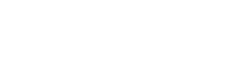 Aerice Consulting 